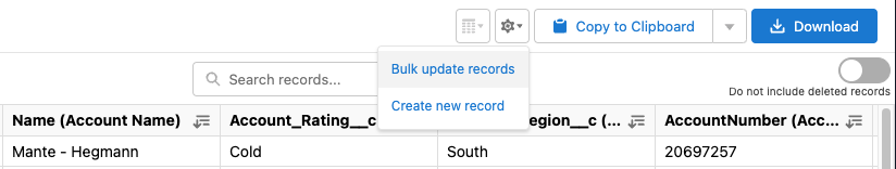 Accessing bulk update records